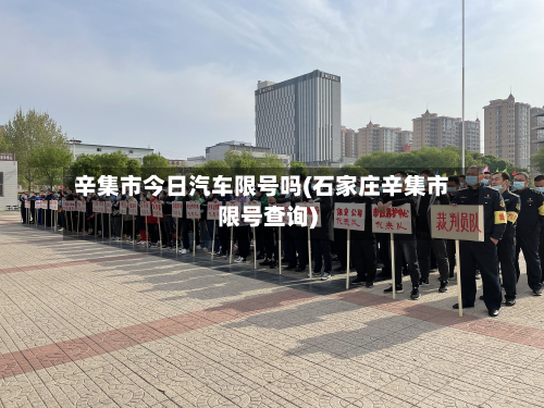 辛集市今日汽车限号吗(石家庄辛集市限号查询)-第2张图片