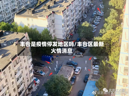 丰台是疫情停发地区吗/丰台区最新火情消息-第3张图片