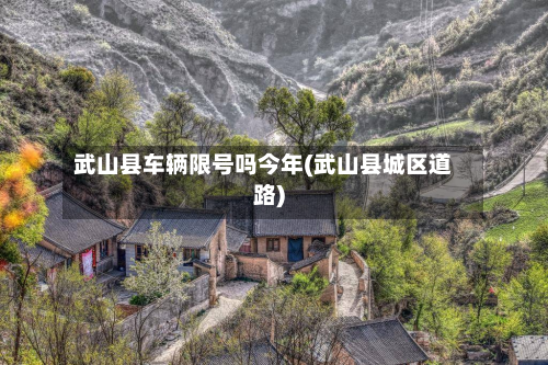 武山县车辆限号吗今年(武山县城区道路)-第2张图片