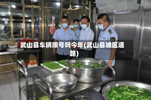武山县车辆限号吗今年(武山县城区道路)