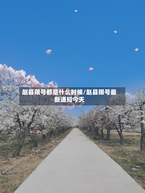 赵县限号都是什么时候/赵县限号最新通知今天-第2张图片