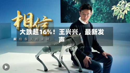 大跌超16%！王兴兴，最新发声-第3张图片