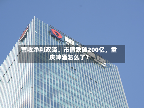 营收净利双降、市值跌破200亿	，重庆啤酒怎么了？-第3张图片