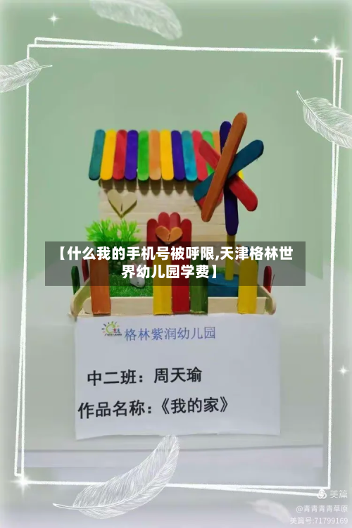 【什么我的手机号被呼限,天津格林世界幼儿园学费】