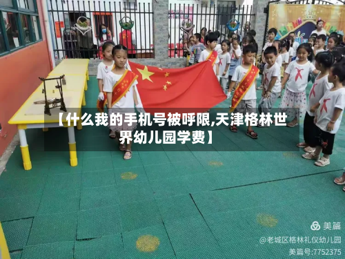 【什么我的手机号被呼限,天津格林世界幼儿园学费】-第2张图片