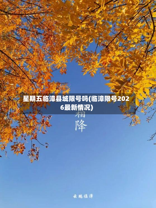 星期五临漳县城限号吗(临漳限号2026最新情况)-第2张图片