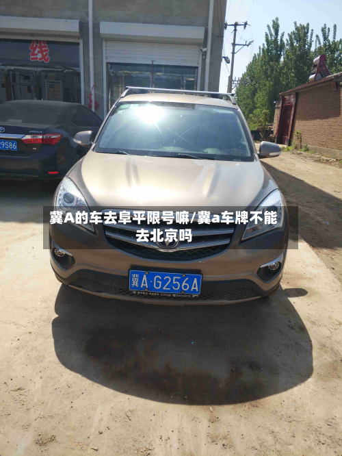 冀A的车去阜平限号嘛/冀a车牌不能去北京吗-第2张图片
