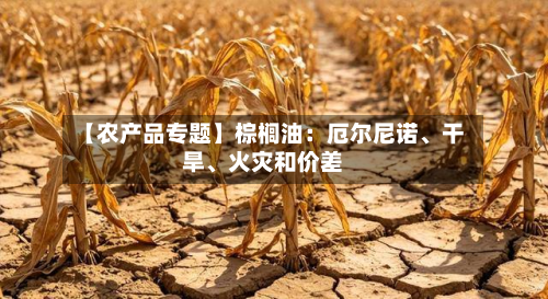 【农产品专题】棕榈油：厄尔尼诺、干旱、火灾和价差-第1张图片