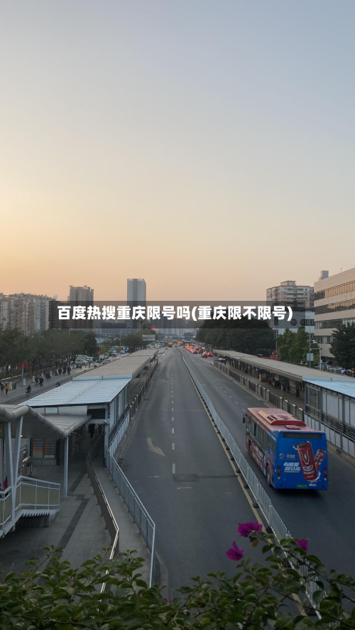 百度热搜重庆限号吗(重庆限不限号)