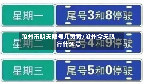 沧州市明天限号几黄黄/沧州今天限行什么号-第2张图片