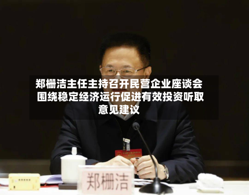 郑栅洁主任主持召开民营企业座谈会 围绕稳定经济运行促进有效投资听取意见建议-第2张图片
