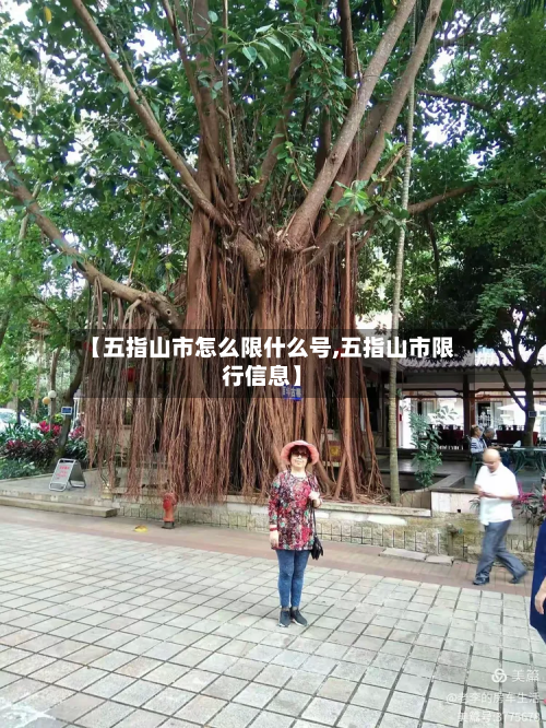 【五指山市怎么限什么号,五指山市限行信息】