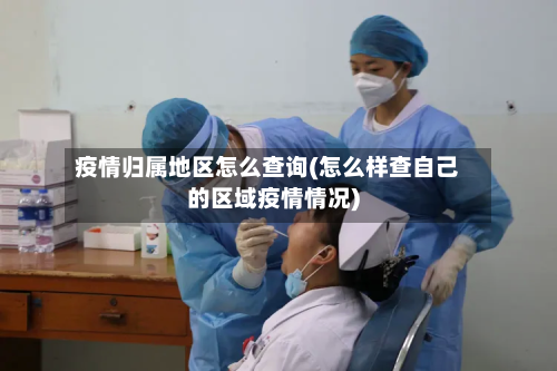 疫情归属地区怎么查询(怎么样查自己的区域疫情情况)