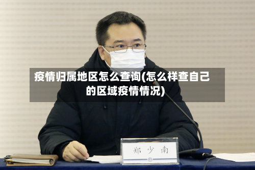 疫情归属地区怎么查询(怎么样查自己的区域疫情情况)-第3张图片