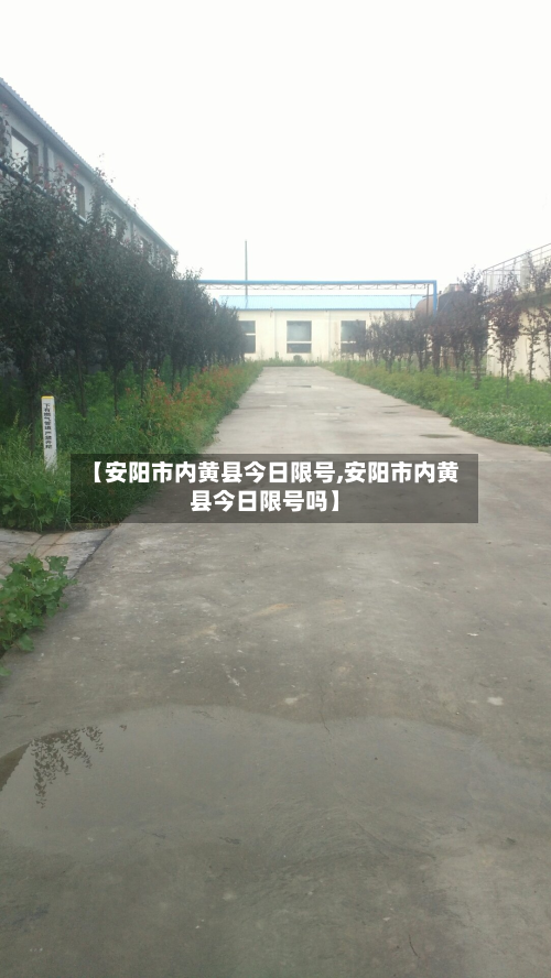 【安阳市内黄县今日限号,安阳市内黄县今日限号吗】-第2张图片