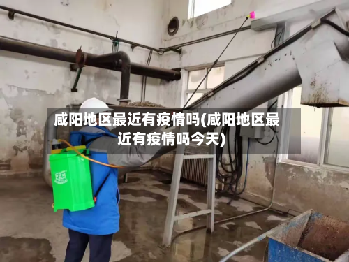 咸阳地区最近有疫情吗(咸阳地区最近有疫情吗今天)-第3张图片