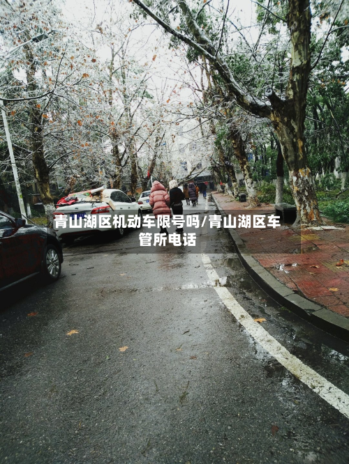 青山湖区机动车限号吗/青山湖区车管所电话