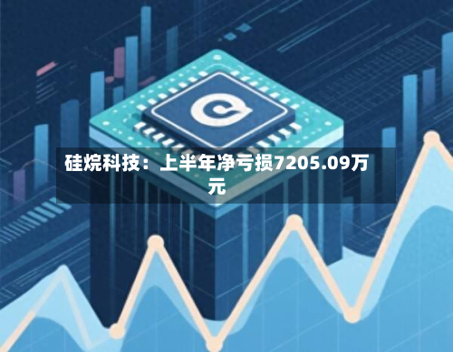 硅烷科技：上半年净亏损7205.09万元-第3张图片