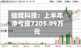 硅烷科技：上半年净亏损7205.09万元-第2张图片