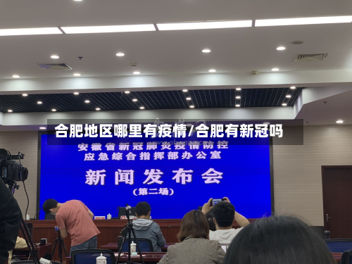 合肥地区哪里有疫情/合肥有新冠吗-第2张图片