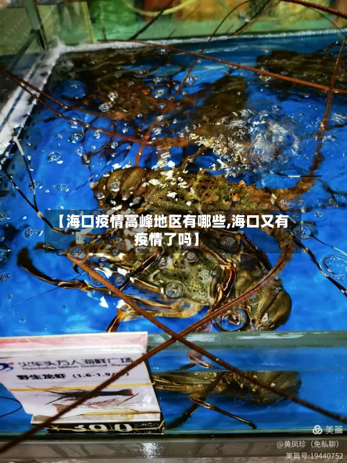 【海口疫情高峰地区有哪些,海口又有疫情了吗】