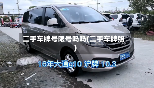二手车牌号限号吗吗(二手车牌照)-第2张图片