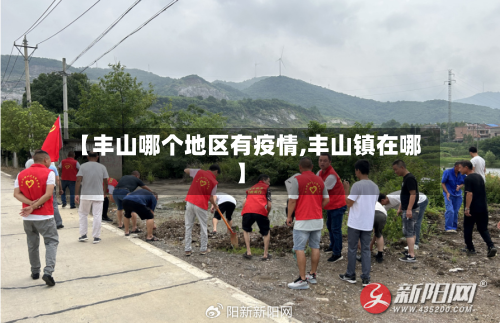 【丰山哪个地区有疫情,丰山镇在哪】