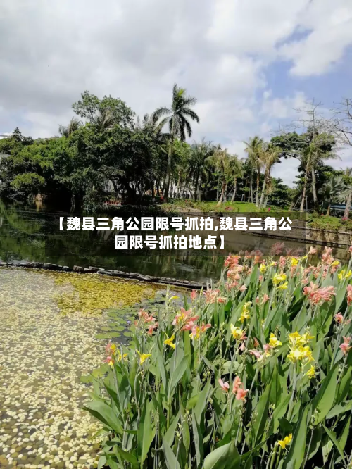 【魏县三角公园限号抓拍,魏县三角公园限号抓拍地点】-第3张图片