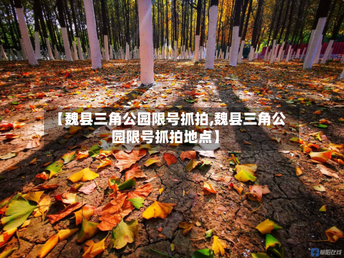 【魏县三角公园限号抓拍,魏县三角公园限号抓拍地点】