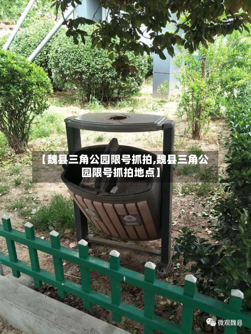 【魏县三角公园限号抓拍,魏县三角公园限号抓拍地点】-第2张图片