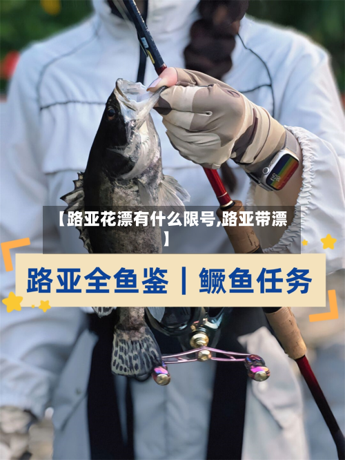 【路亚花漂有什么限号,路亚带漂】