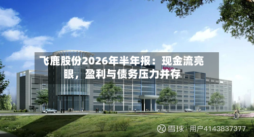 飞鹿股份2026年半年报：现金流亮眼，盈利与债务压力并存-第2张图片