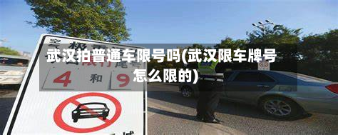 武汉拍普通车限号吗(武汉限车牌号怎么限的)-第2张图片