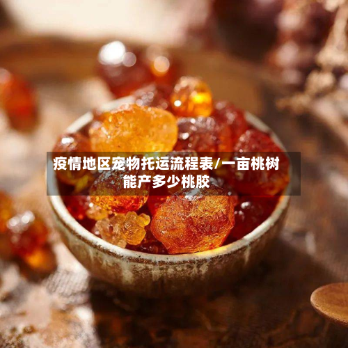 疫情地区宠物托运流程表/一亩桃树能产多少桃胶-第3张图片