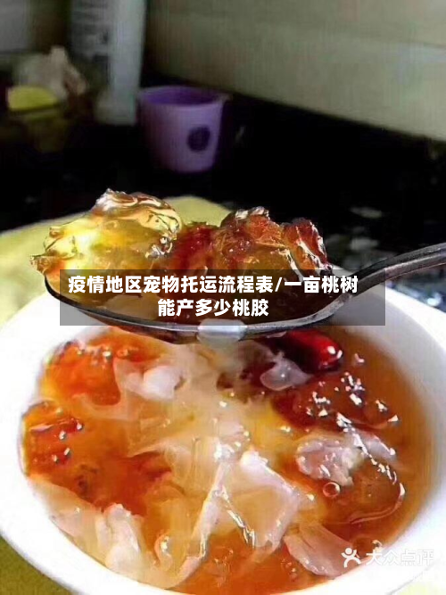 疫情地区宠物托运流程表/一亩桃树能产多少桃胶-第2张图片
