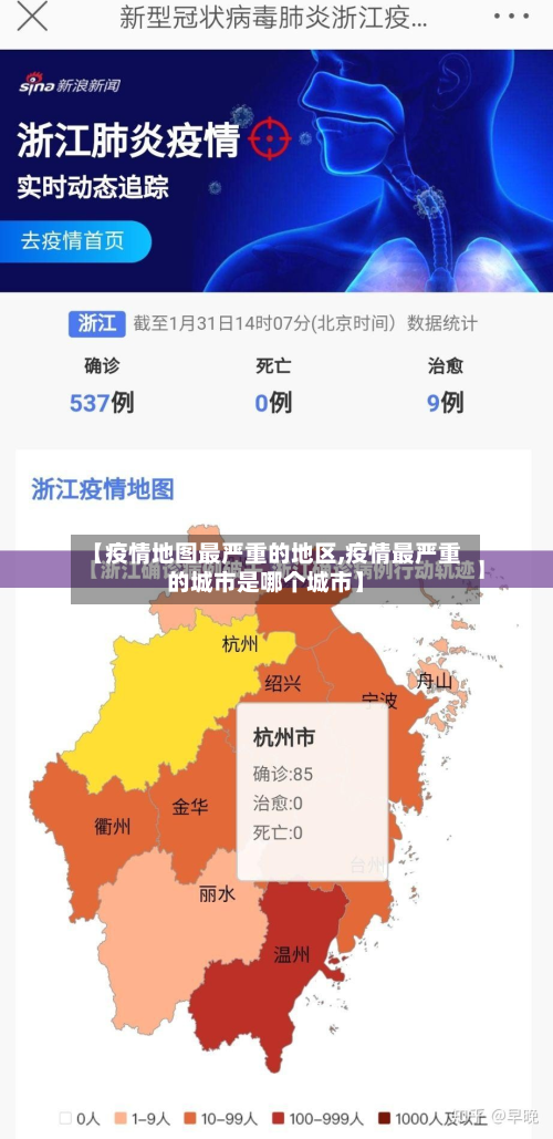 【疫情地图最严重的地区,疫情最严重的城市是哪个城市】-第2张图片