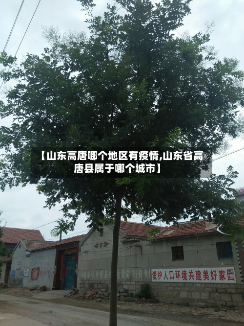 【山东高唐哪个地区有疫情,山东省高唐县属于哪个城市】
