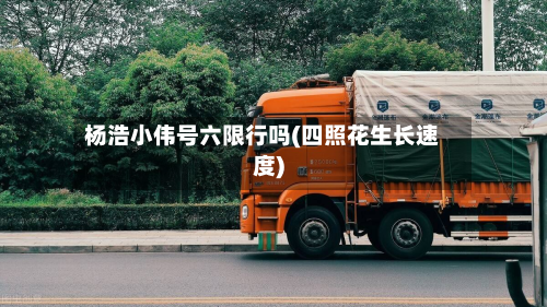杨浩小伟号六限行吗(四照花生长速度)