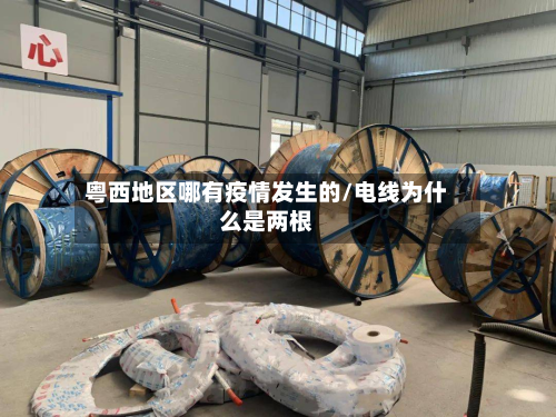 粤西地区哪有疫情发生的/电线为什么是两根