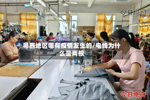 粤西地区哪有疫情发生的/电线为什么是两根-第2张图片