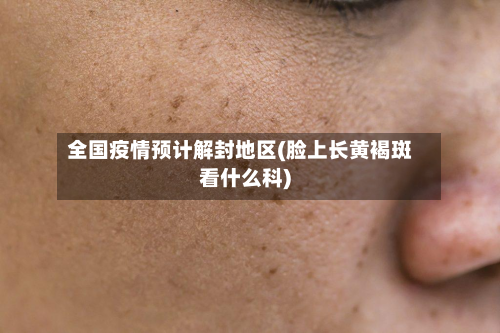 全国疫情预计解封地区(脸上长黄褐斑看什么科)-第2张图片