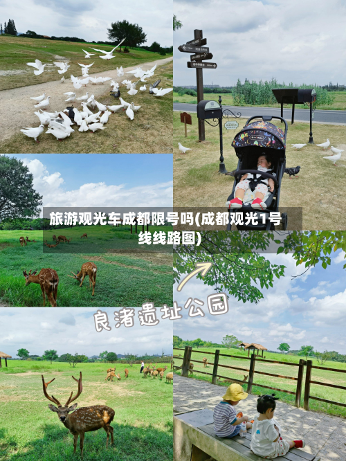 旅游观光车成都限号吗(成都观光1号线线路图)