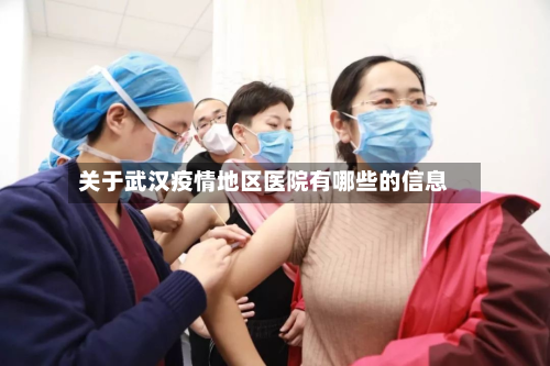 关于武汉疫情地区医院有哪些的信息