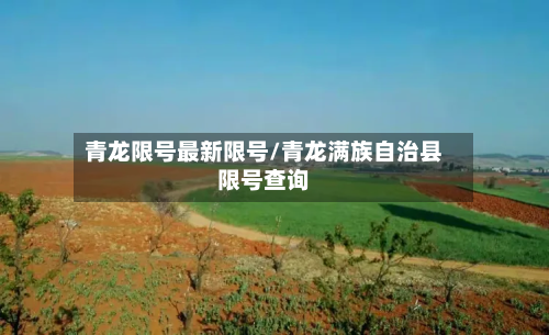 青龙限号最新限号/青龙满族自治县限号查询-第3张图片