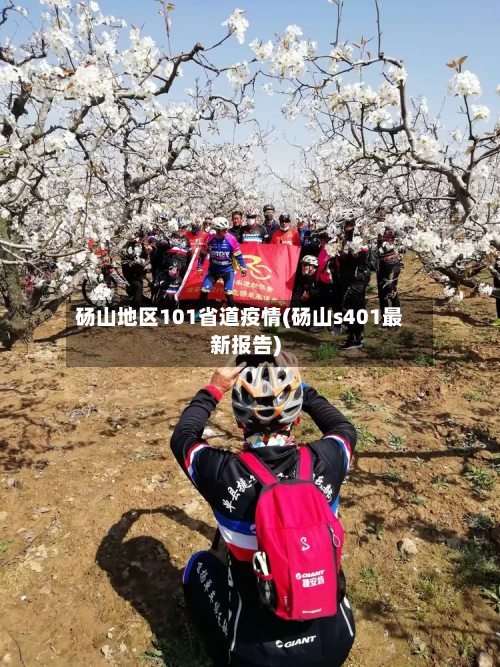 砀山地区101省道疫情(砀山s401最新报告)-第2张图片