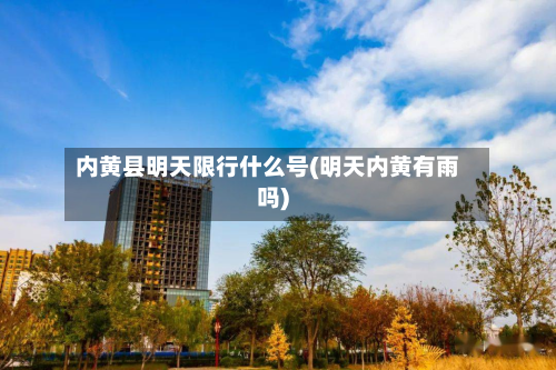内黄县明天限行什么号(明天内黄有雨吗)