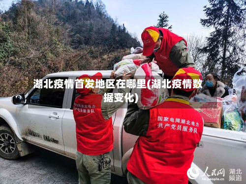 湖北疫情首发地区在哪里(湖北疫情数据变化)-第2张图片