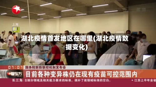 湖北疫情首发地区在哪里(湖北疫情数据变化)
