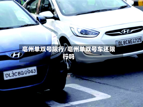 亳州单双号限行/亳州单双号车还限行吗