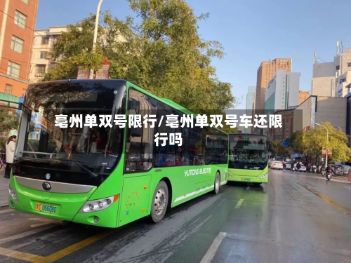 亳州单双号限行/亳州单双号车还限行吗-第3张图片